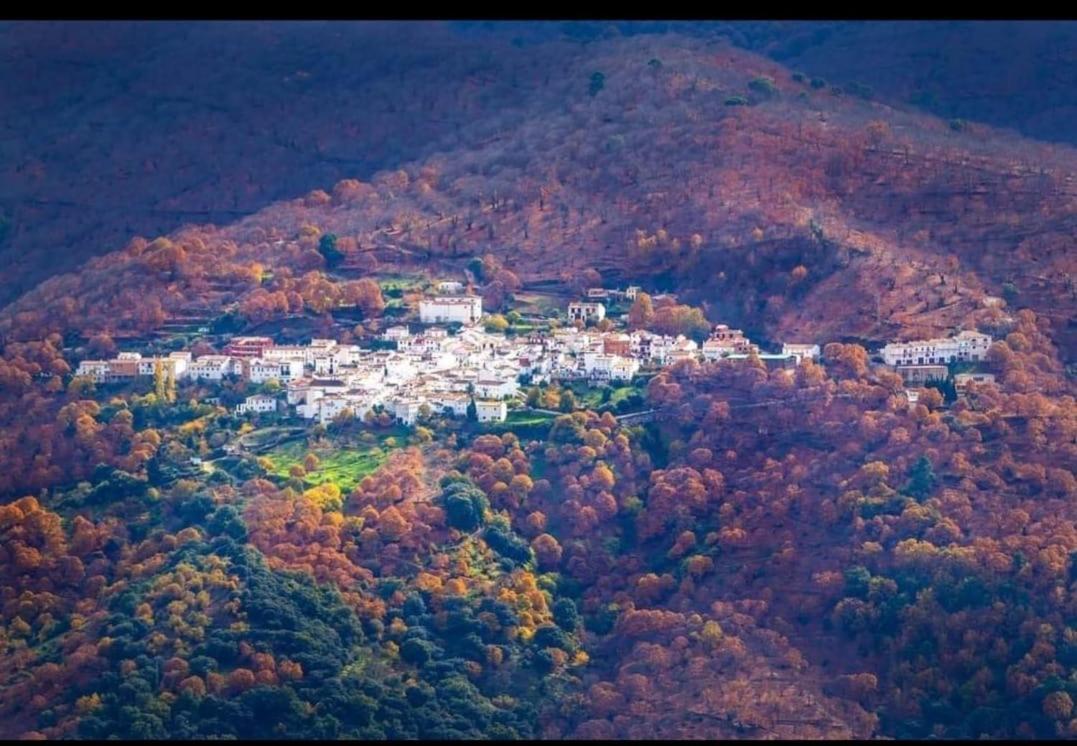 Casa Rural "La Casita" Pujerra Εξωτερικό φωτογραφία