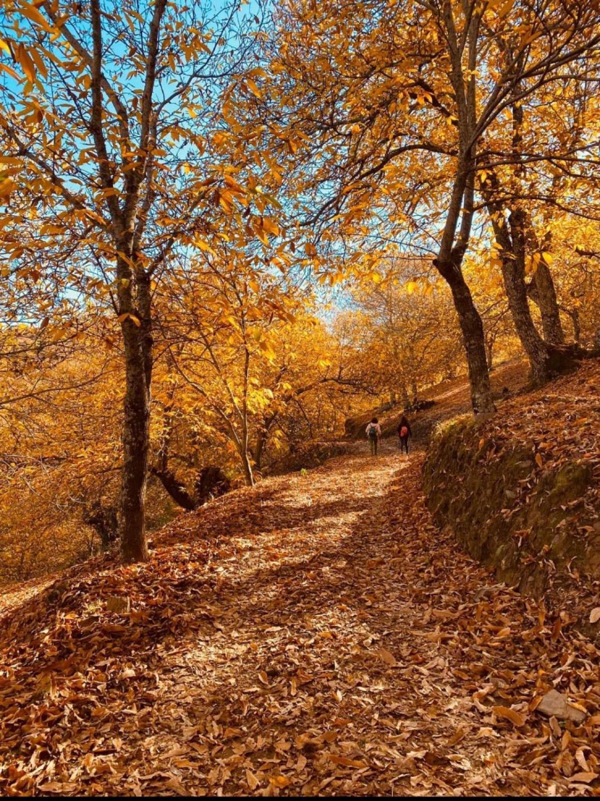 Casa Rural "La Casita" Pujerra Εξωτερικό φωτογραφία
